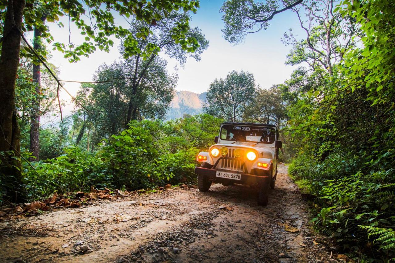 Forest County Hotel Munnar Ngoại thất bức ảnh